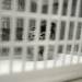 An injured pigeon is seen through the slats of a plastic basket as it recuperates at the Bird Center of Washtenaw County in Ann Arbor. Melanie Maxwell I AnnArbor.com